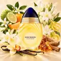Note olfattive Boucheron Eau de Toilette con agrumi fiori vaniglia e sandalo