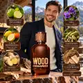Ingredienti e note olfattive di Dsquared2 Wood Eau de Toilette 50 ml rappresentati in un'illustrazione