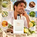 Illustrazione degli ingredienti del balsamo dopobarba Herm&egrave;s Terre d&rsquo;Herm&egrave;s 100 ml