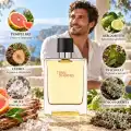 Rappresentazione illustrata degli ingredienti e delle note olfattive di Terre d&rsquo;Herm&egrave;s Eau de Toilette 100 ml