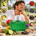 Rappresentazione degli ingredienti di Laura Biagiotti Roma Uomo Green Swing EDT 125 ml