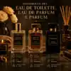 Guida alla differenza tra EDT, EDP e Parfum nei profumi